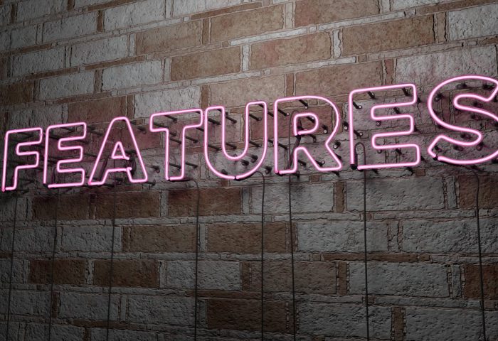 Features,-,Glowing,Neon,Sign,On,Stonework,Wall,-,3d