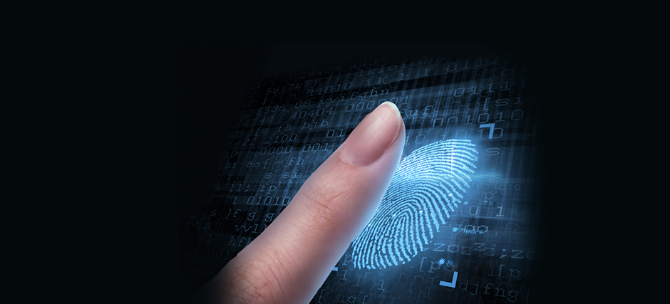 biometric fingerprint system